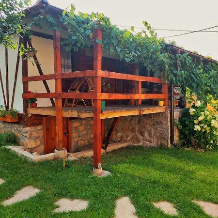 Mitrovic Apartment Boljevac Luaran gambar