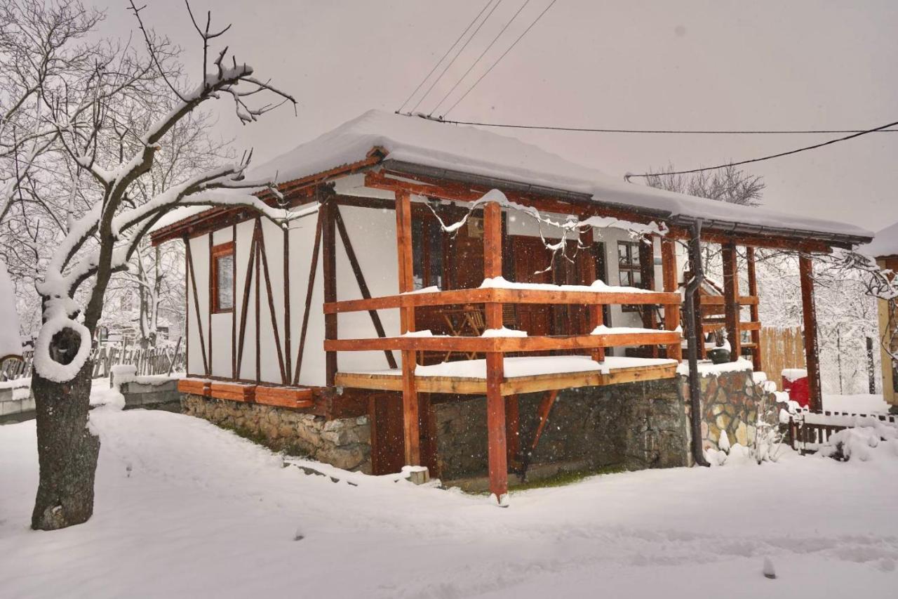 Mitrovic Apartment Boljevac Luaran gambar