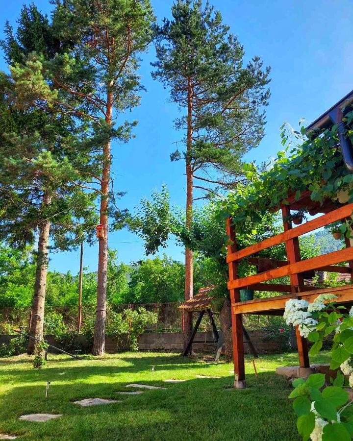 Mitrovic Apartment Boljevac Luaran gambar