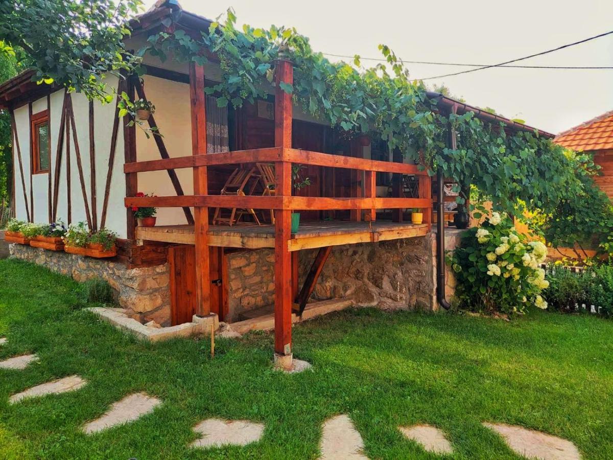 Mitrovic Apartment Boljevac Luaran gambar