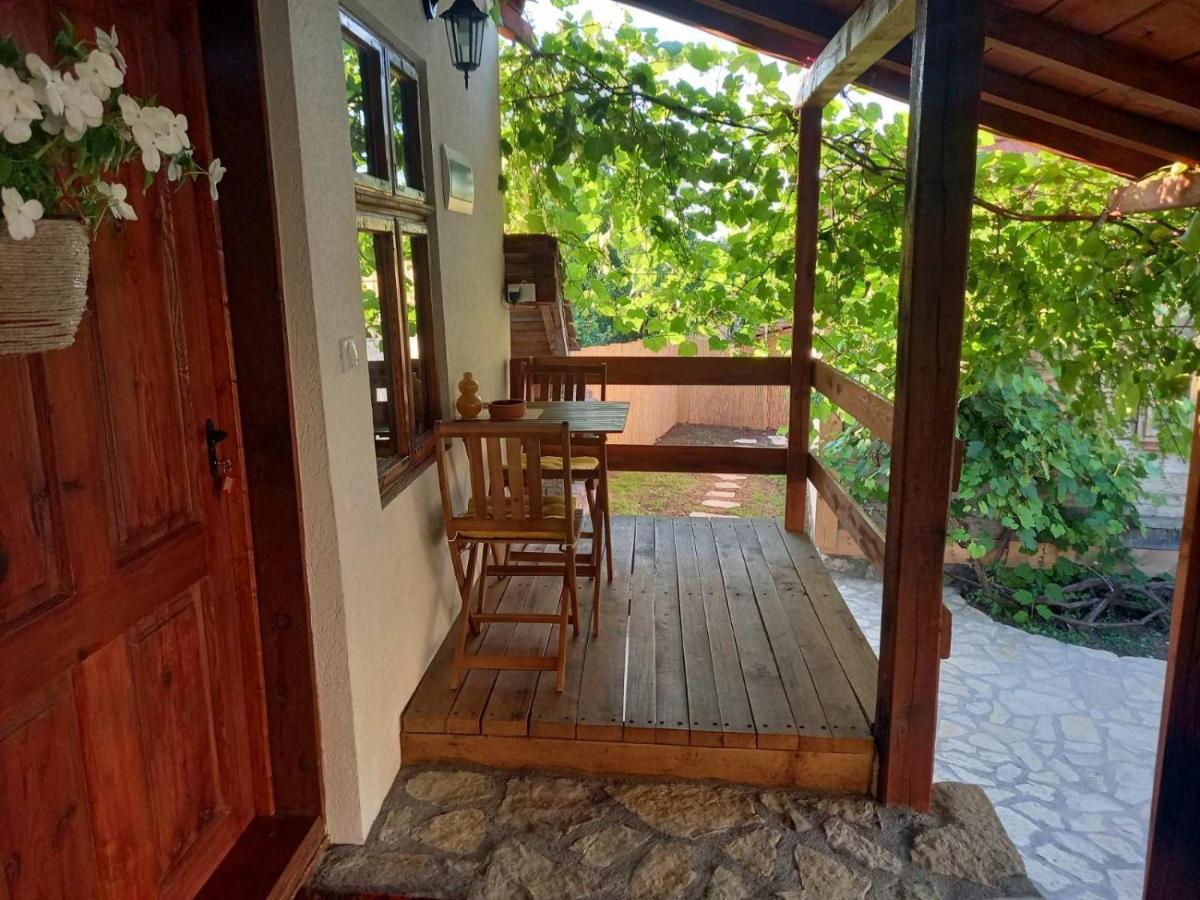Mitrovic Apartment Boljevac Bilik gambar