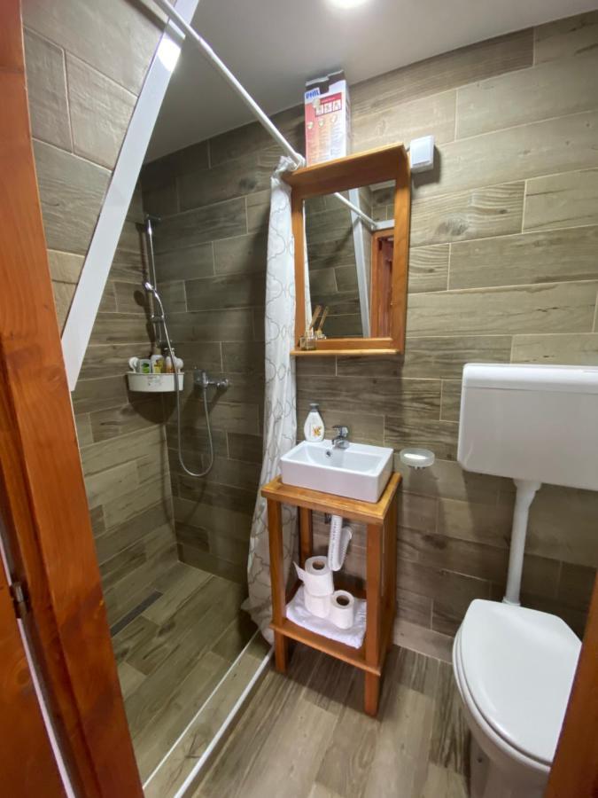 Mitrovic Apartment Boljevac Luaran gambar