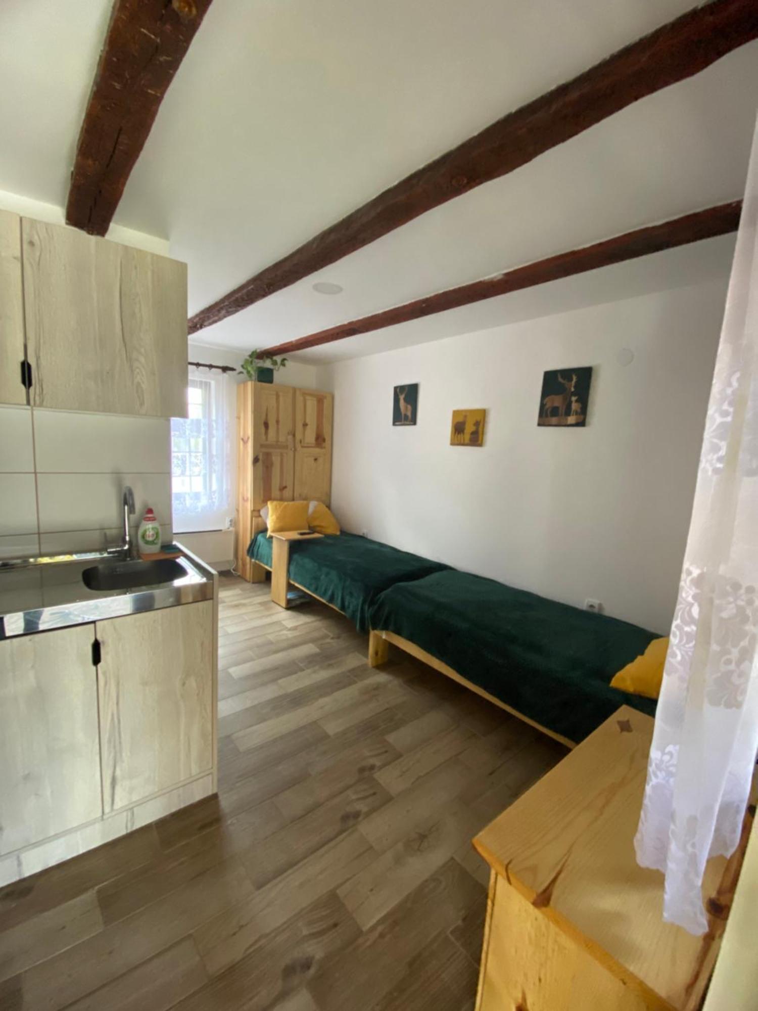Mitrovic Apartment Boljevac Luaran gambar